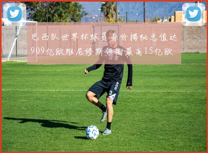 巴西队世界杯球员身价揭秘总值达909亿欧维尼修斯领衔最高15亿欧